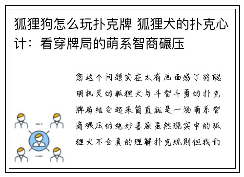 狐狸狗怎么玩扑克牌 狐狸犬的扑克心计：看穿牌局的萌系智商碾压